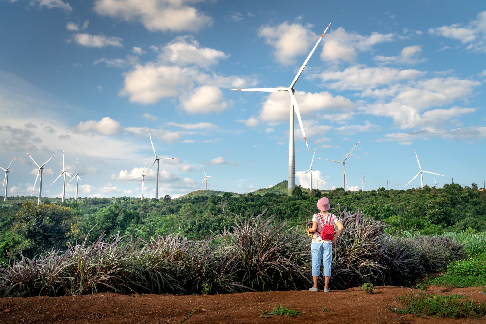 Green Travel Certifications: How Agencies Attract Eco-Conscious Travelers